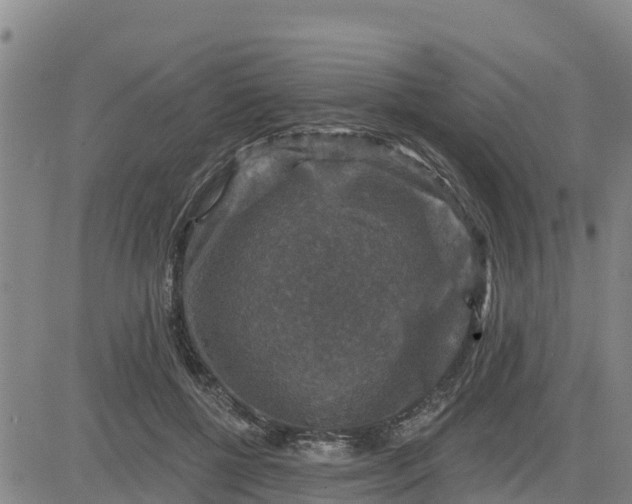 X0000080690552200612301452