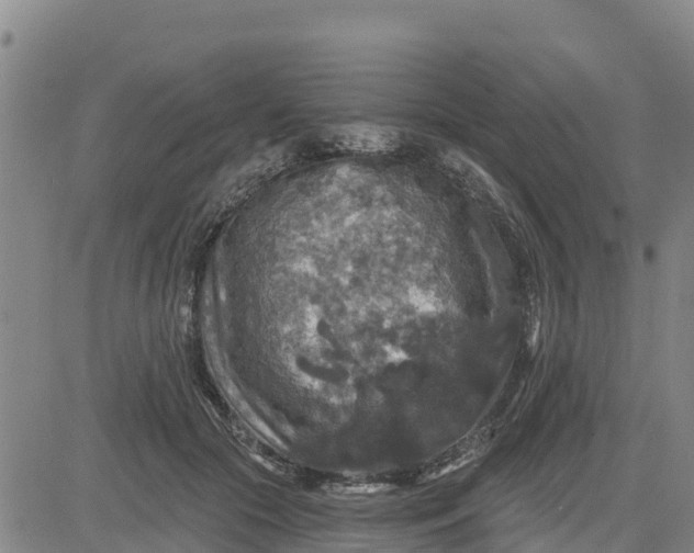 X0000080690553200612301452