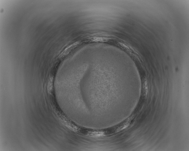 X0000080690554200612301452