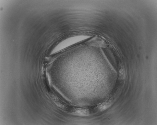 X0000080690555200612301452