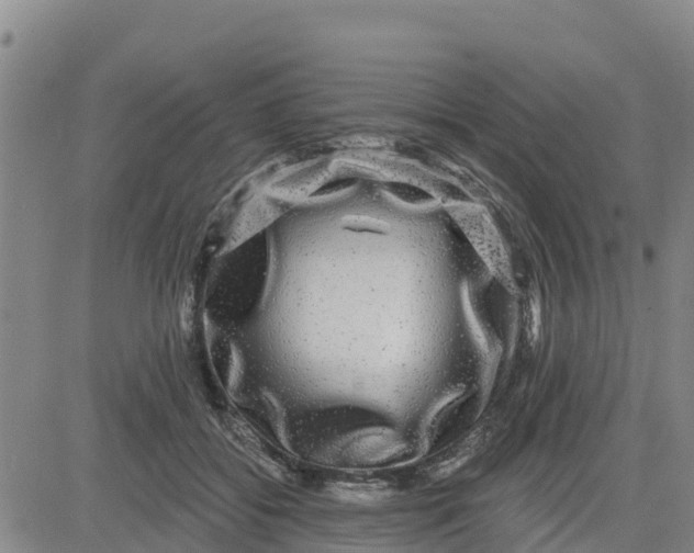 X0000080690556200612301452