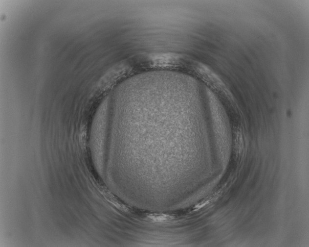 X0000080690557200612301452