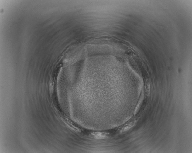 X0000080690558200612301452