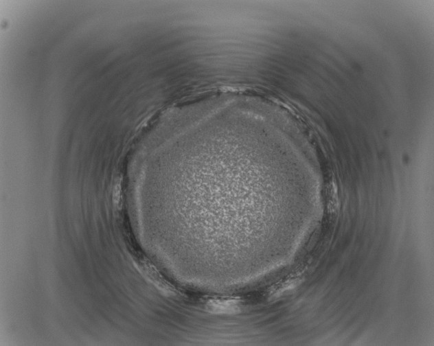 X0000080690560200612301452