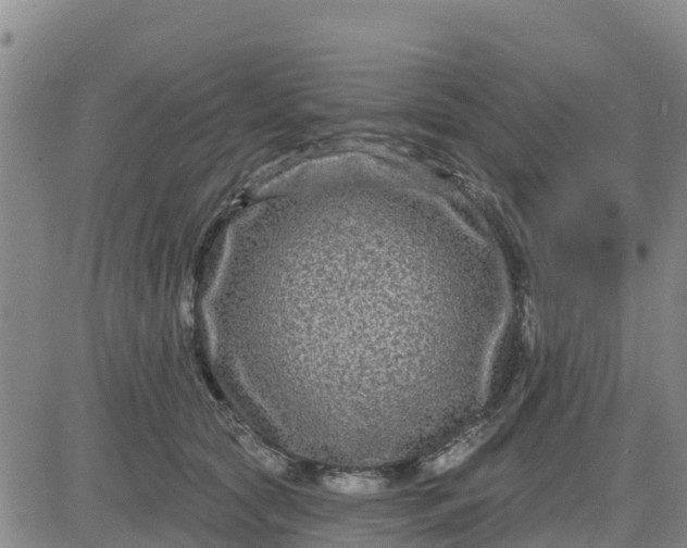 X0000080690561200612301452