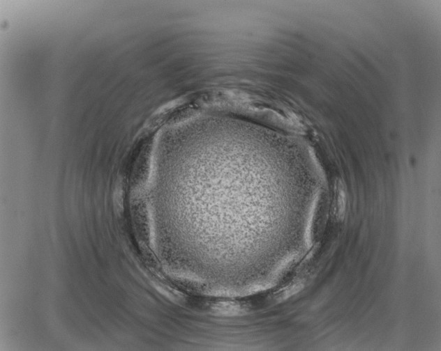 X0000080690562200612301452