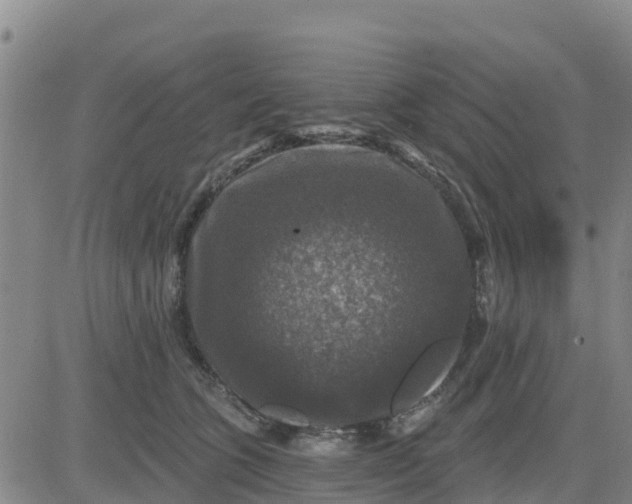 X0000080690563200612301452