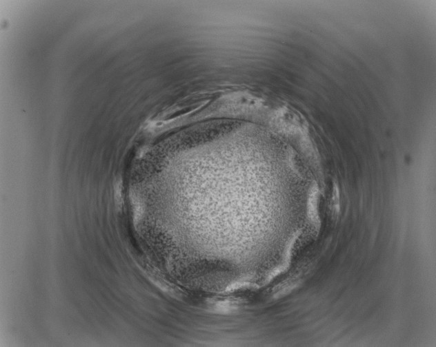 X0000080690564200612301452