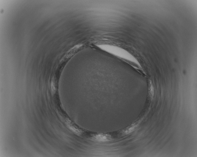 X0000080690566200612301452