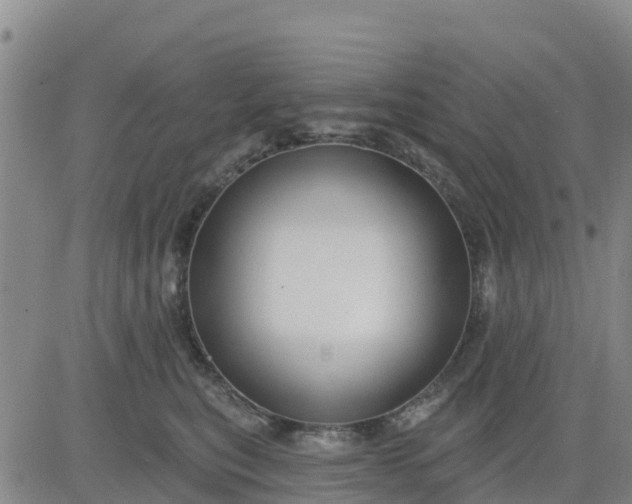 X0000080690567200612301452