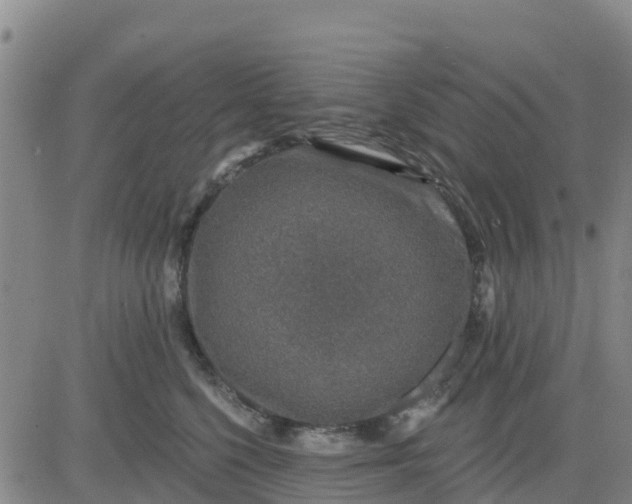 X0000080690568200612301452