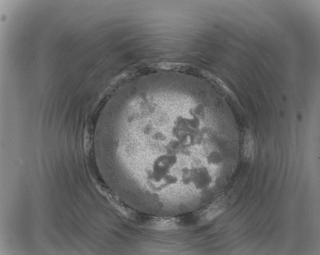 X0000080690569200612301452