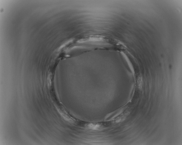 X0000080690570200612301452