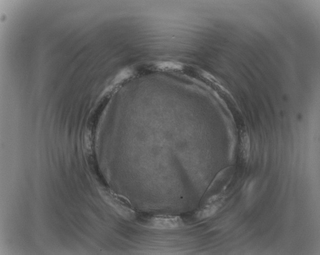 X0000080690571200612301452