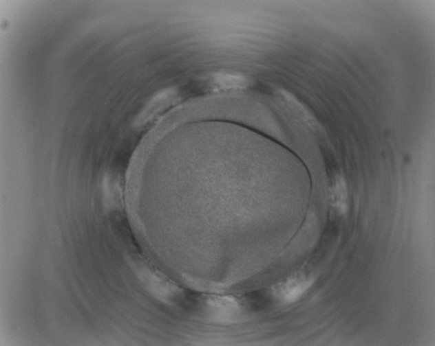 X0000080690572200612301452