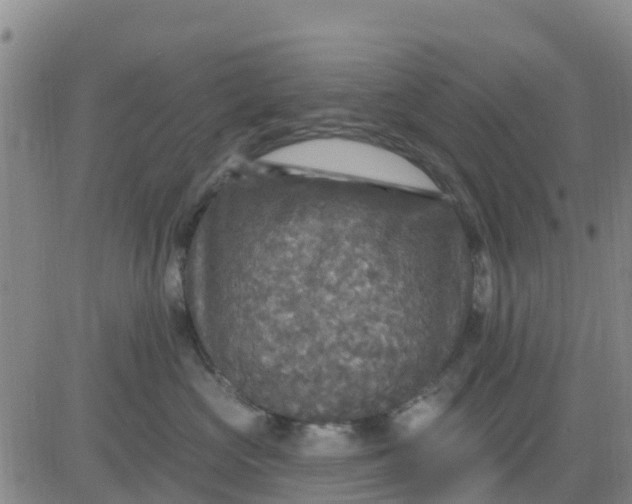 X0000080690573200612301452