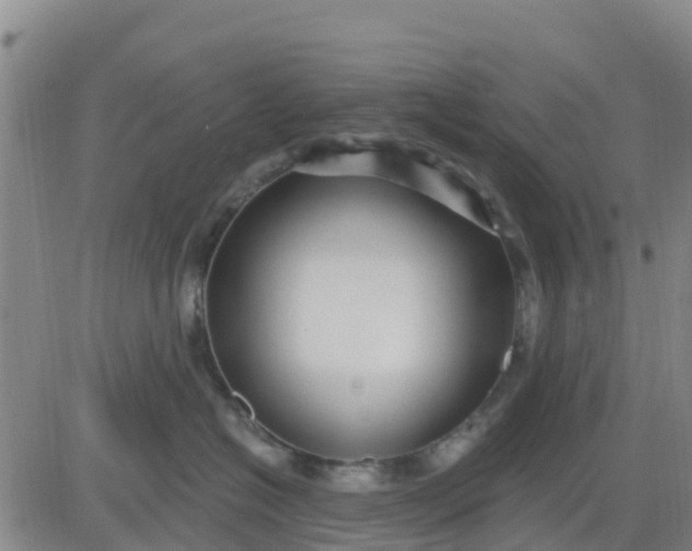 X0000080690574200612301452