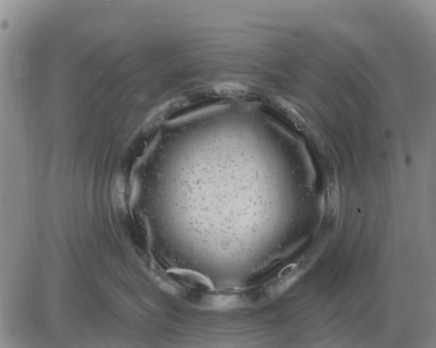 X0000080690575200612301452