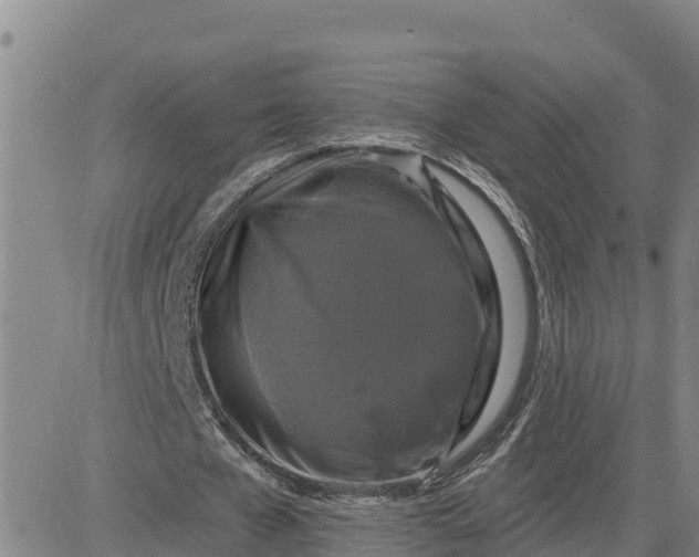 X0000080690577200612301452