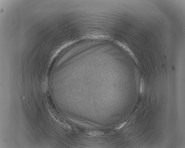 X0000080690579200612301452