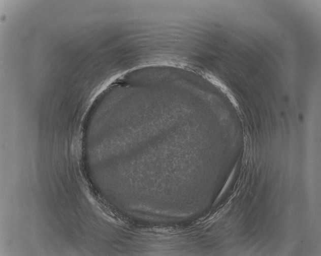 X0000080690580200612301452