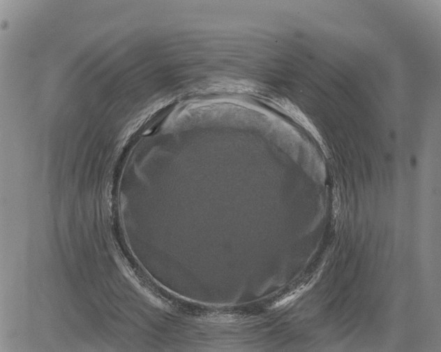 X0000080690581200612301451