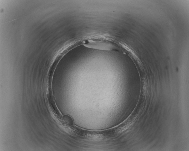 X0000080690582200612301451