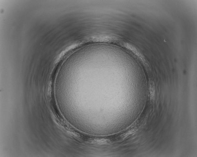 X0000080690583200612301451