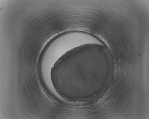 X0000080690584200612301451