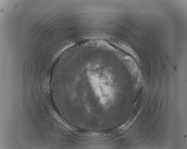 X0000080690585200612301451