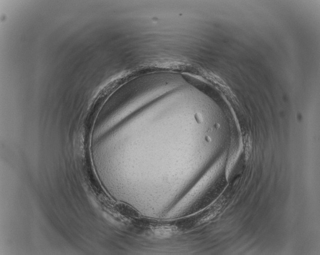 X0000080690587200612301451