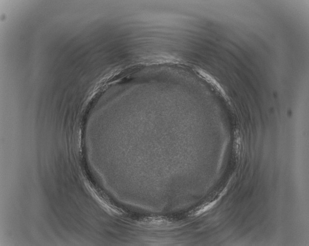 X0000080690589200612301451