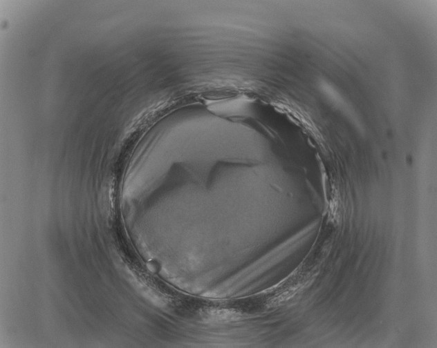 X0000080690590200612301451