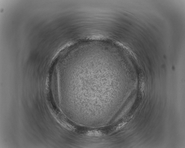 X0000080690591200612301451