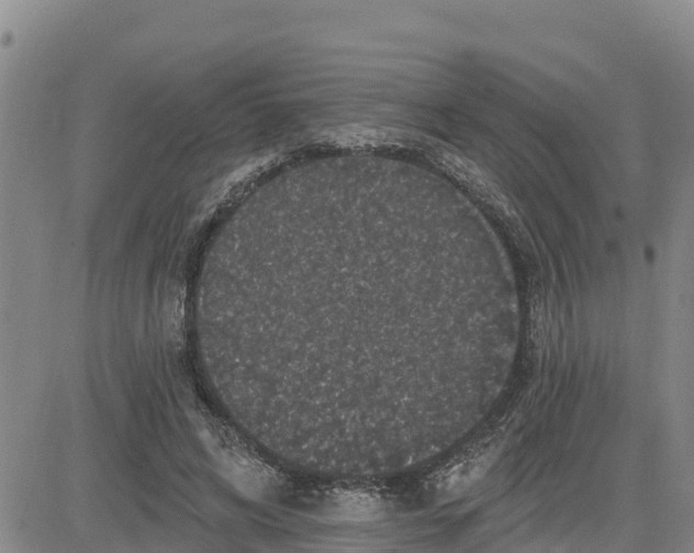 X0000080690592200612301451