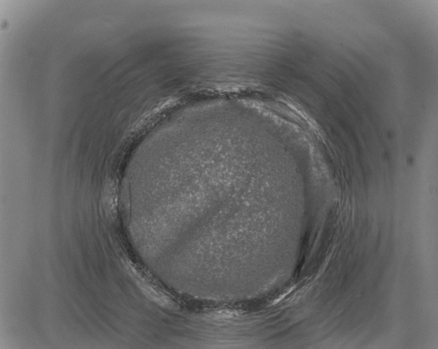 X0000080690593200612301451