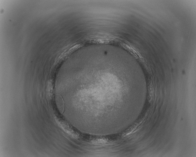 X0000080690594200612301451