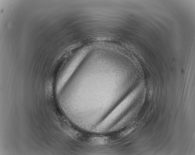 X0000080690595200612301451