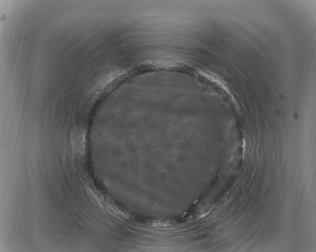 X0000080690596200612301451