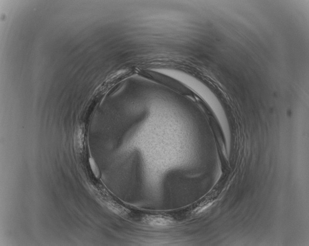 X0000080690597200612301451