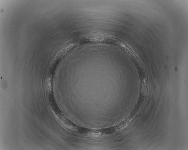 X0000080690598200612301451