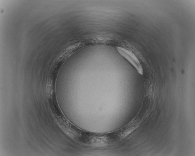 X0000080690599200612301451