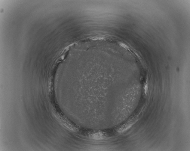 X0000080690600200612301451