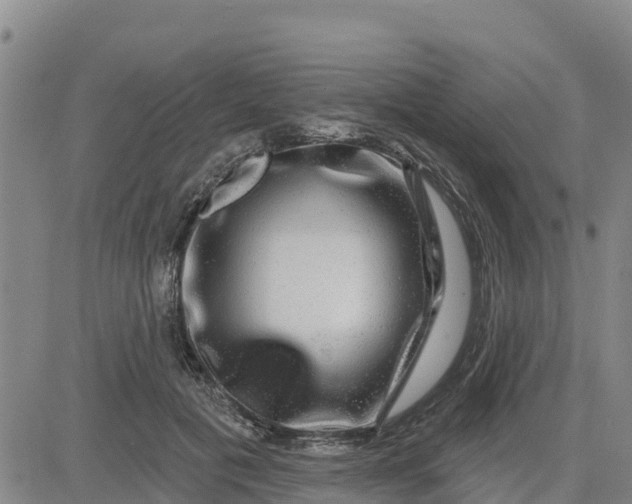 X0000080690601200612301451