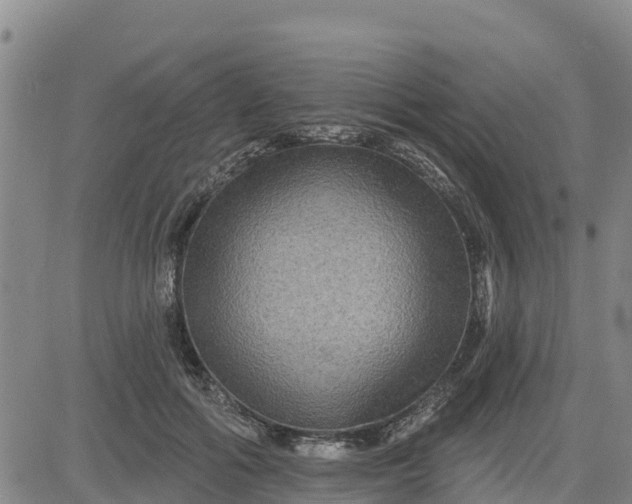 X0000080690602200612301451