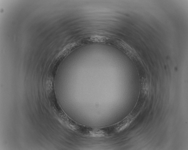 X0000080690603200612301451