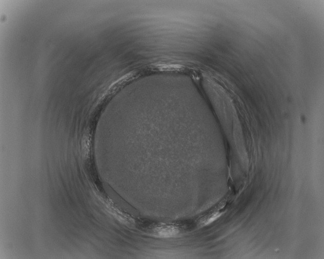 X0000080690604200612301451