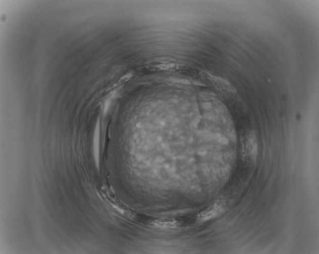 X0000080690606200612301451