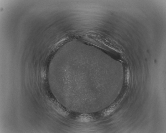 X0000080690608200612301451