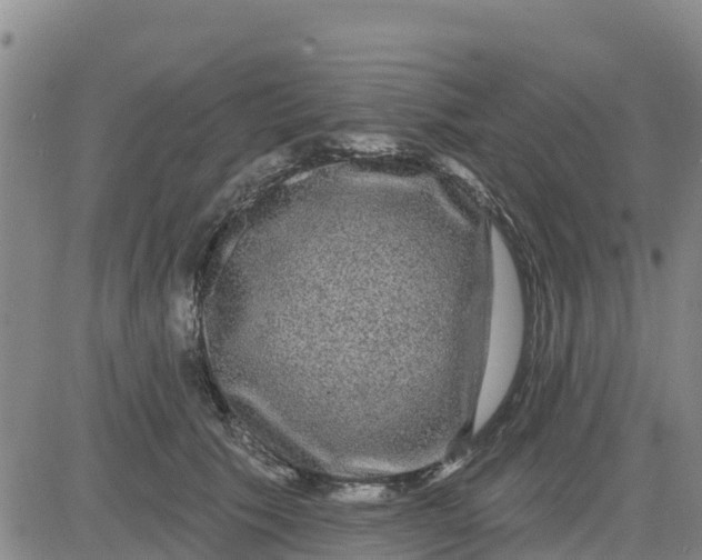 X0000080690609200612301451